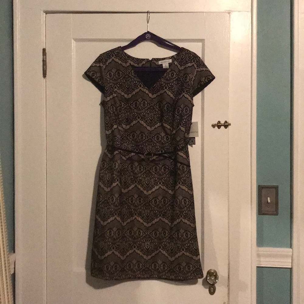 NWT short sleeved black and cream dress